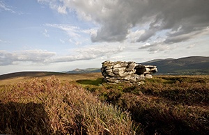 Vacker natur utanför Dublin