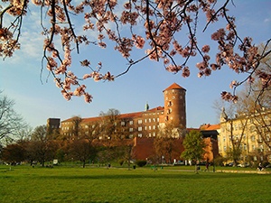 Äldre byggnader i Krakow.