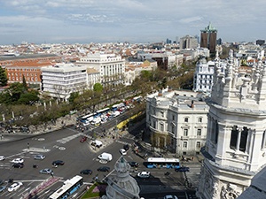 Gator i Madrid